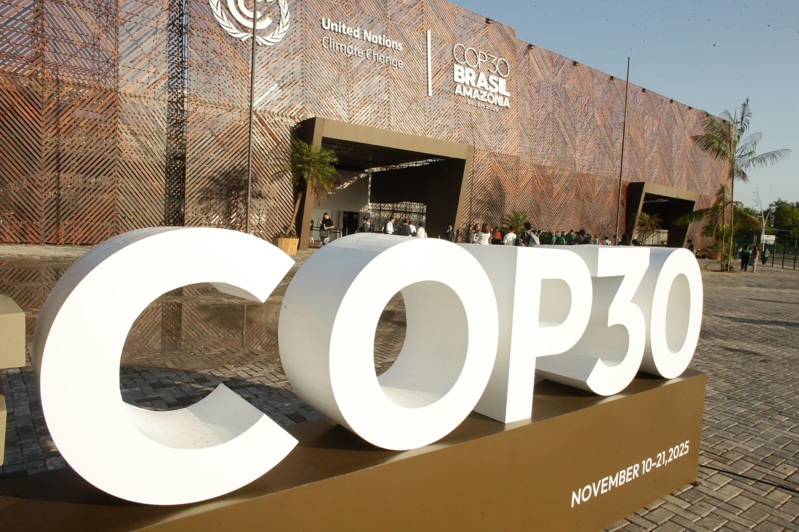 From COP29 to COP30: Azerbaijan and OECD Turning Climate Ambition into Educational Action